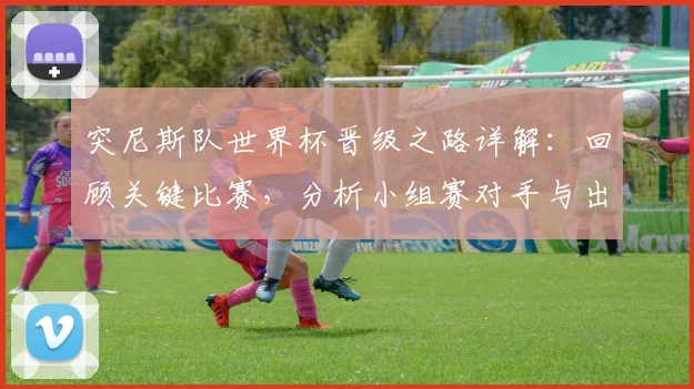 突尼斯队世界杯晋级之路详解:回顾关键比赛,分析小组赛对手与出线前景